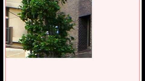 large texture testing in processing