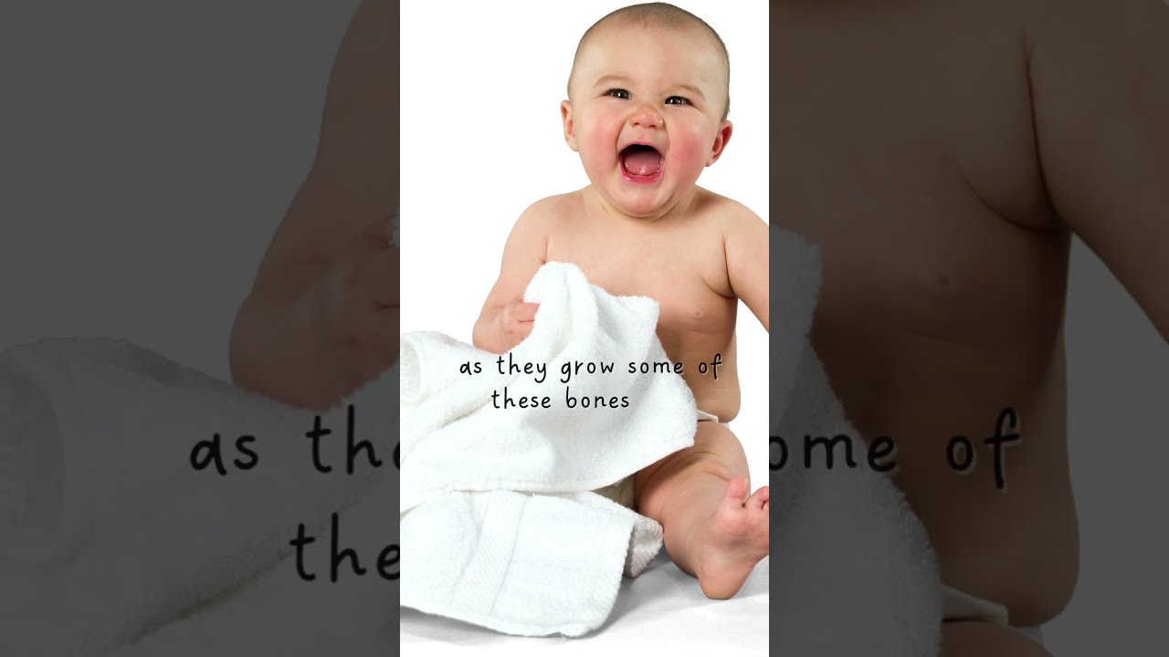 Infants Are Born With Approximately 300 Bones But As They Grow Some Of These Fuse Together 
