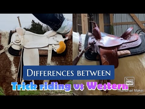 Differences between trick riding & western saddle//How to start trick riding!!