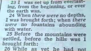 Proverbs 8 thoughts