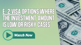 E-2 Visa Options where the Investment Amount is Low or Risky Cases