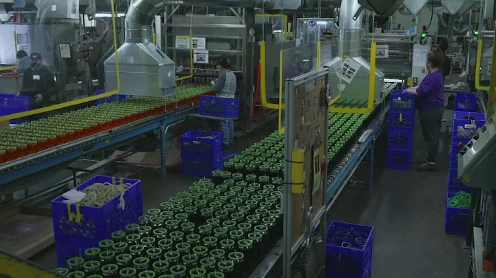 What your employer legally can ask regarding your COVID vaccination status