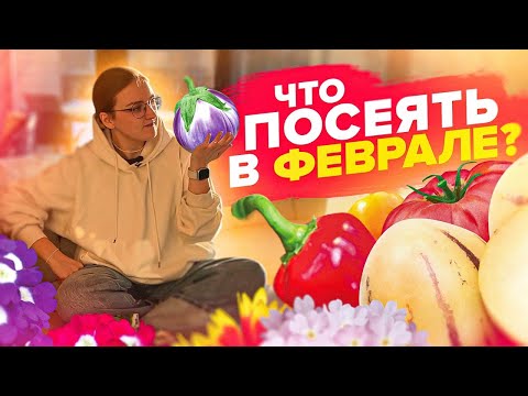 ЧТО СЕЯТЬ В ФЕВРАЛЕ 2024? Овощи и цветы