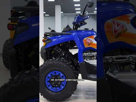 Брутальный и стильный квадроцикл Grizlik 200 Ultra от Motax