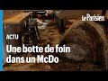 Colre des agriculteurs  un mcdo vandalis aprs avoir refus doffrir des cafs  des manifestants