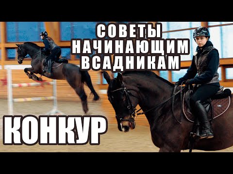 Видео: Совет для вашего первого конного шоу