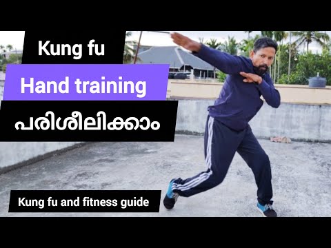 Kung fu Hand training