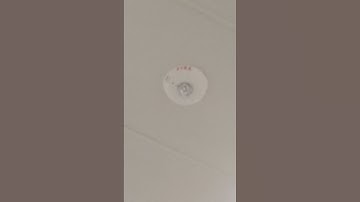 System Sensor L Series SCWL Remote Strobe