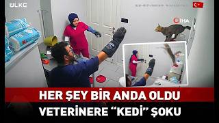Veterinere Şoku... Her Şey Bir Anda Oldu