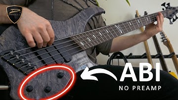 Werner Erkelens: Jaw-Dropping Passive Dingwall ABI  tone!