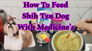 How To Feed Shihtzu Dog with Medicine | cherry  Shih Tzu Dog 50 Days Puppy