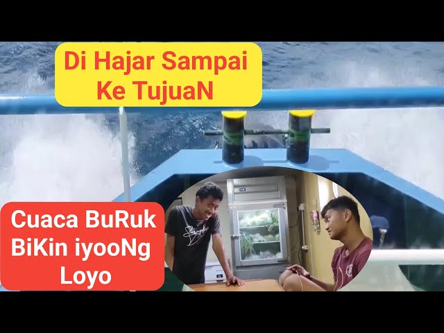 CUACA BURUK❗ DI HAJAR SAMPAI KE TUJUAN BIKIN IYONG LOYO ❌BERLAYAR  DARI SEMARANG KE PEGATAN class=