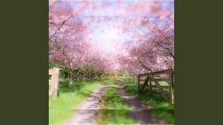 THE POWER OF SPRING