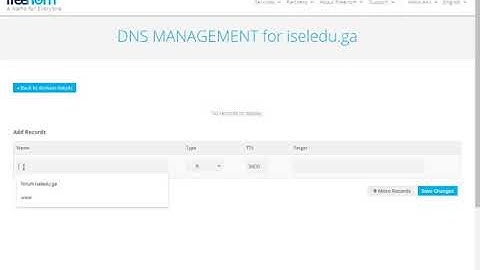 How To Add a CNAME to Freenom