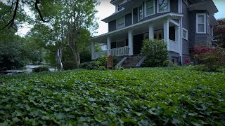 American Neighborhood Walk During Sunset Before Rain | Nature Sounds for Sleep and Study