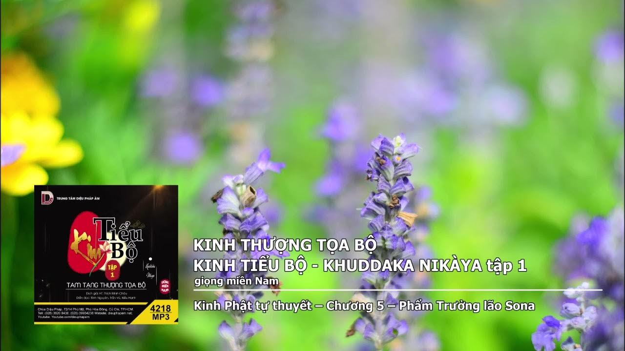 Tập 1 – K.Phật tự thuyết – Chương 5 – Phẩm Trưởng lão Sona giọng miền Nam 