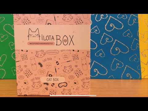 Распаковка Milota box «Cat box»