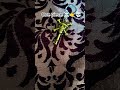 Rare one piece item 👌#popular #trending #meme