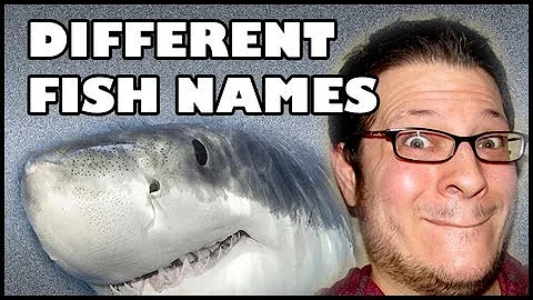 SCARY SEA CREATURES Different Fish Names