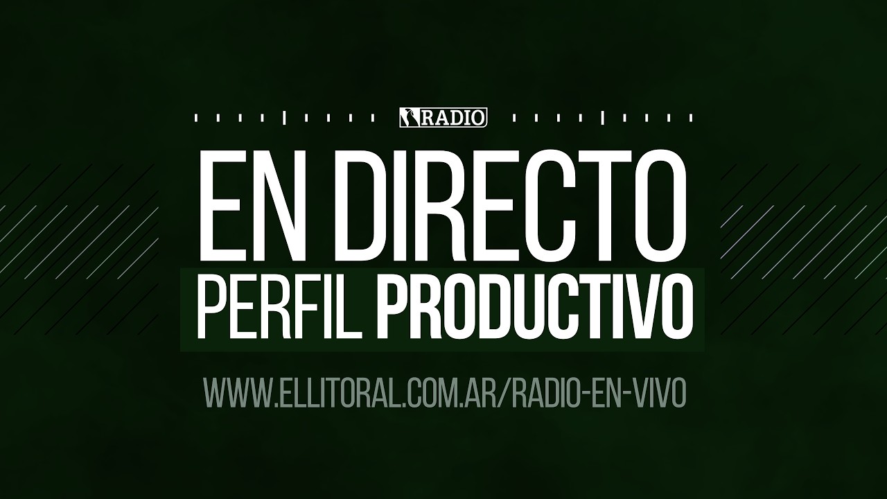 PERFIL PRODUCTIVO - 2026-04-30