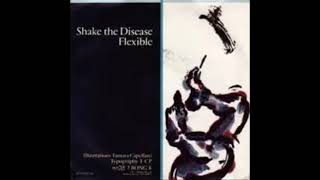 Depeche Mode Flexible 1985 instrumental  Sounds Alan Wilders EMAX discs used