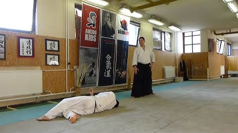 shomen uchi kaitennage (uchi kaiten) [TUTORIAL] Aikido empty hand basic technique