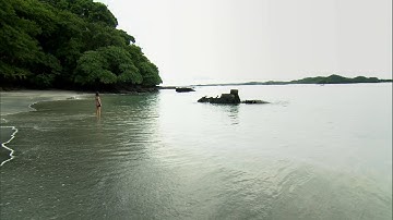 This Island Is Hiding The Wreck Of An Incredible Hand-Powered Submarine