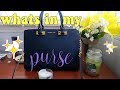 WHATS IN MY PURSE!