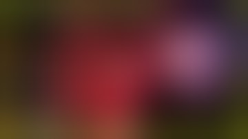 Silent Hill F Finale