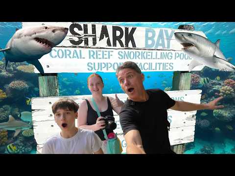 We SWAM With SHARKS At SeaWorld Gold Coast Full Day Vlog 