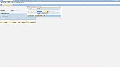 13. Audit Controls - Ilegal Password - Table USR40 - Demo