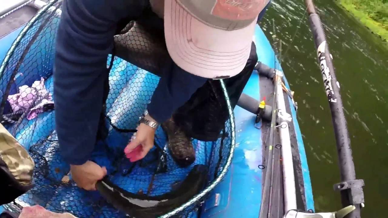 Kalama Steelhead Fishing on June 6, 2016