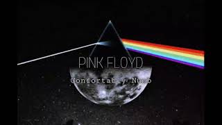 Pink Floyd - Confortably Numb (Slowed and Reverb)