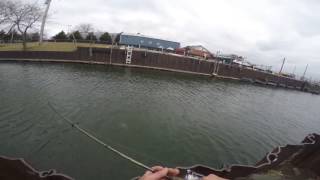 Monster Brown From Shore