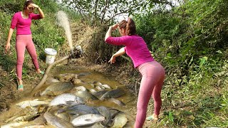 Harvesting Many Big Fish In The Lake By Using A Pump To Suck Water Out Of The Lake - Nana Fishing