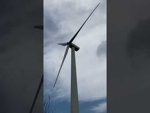 小嫻分手真相20220514