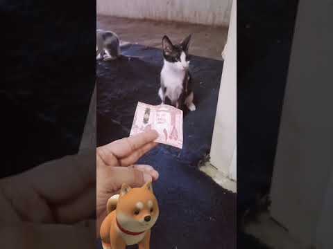 روح جيب لي بيبسي وعصير