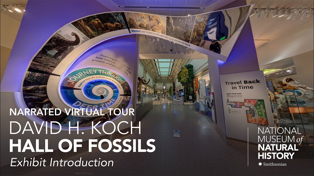 virtual tours by koch