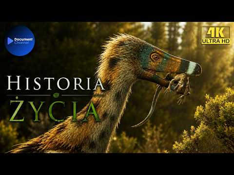 THE EVOLUTION OF FEATHERS - From Dinosaurs to Modern Birds | LIFE STORY, ep. 2 | 4K Documentary