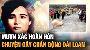 Đầu thai thành heo nhà chị dâu để trả nợ chiếm đất; Mượn xác hoàn hồn chuyện thật chấn động Đài Loan