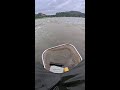 Fishing - Live Stream