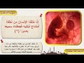 1 5 سورة الإنسان بالتفسير الميسر والصور المعبرة