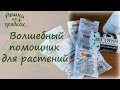 А давайте поможем нашим растениям! Янтарная кислота - стимулятор роста!