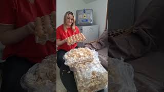 М'ясо-яєчка