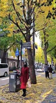 Download lagu #seoul suara burung suara angin dan daun jatuh