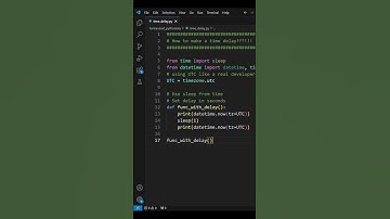 How to make a time delay #python