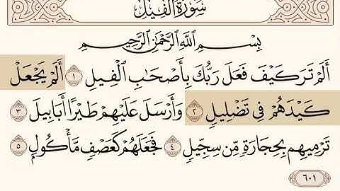 سورة الفيل بصوت القارئ الشيخ ناصر القطامي قراءة مبكية
