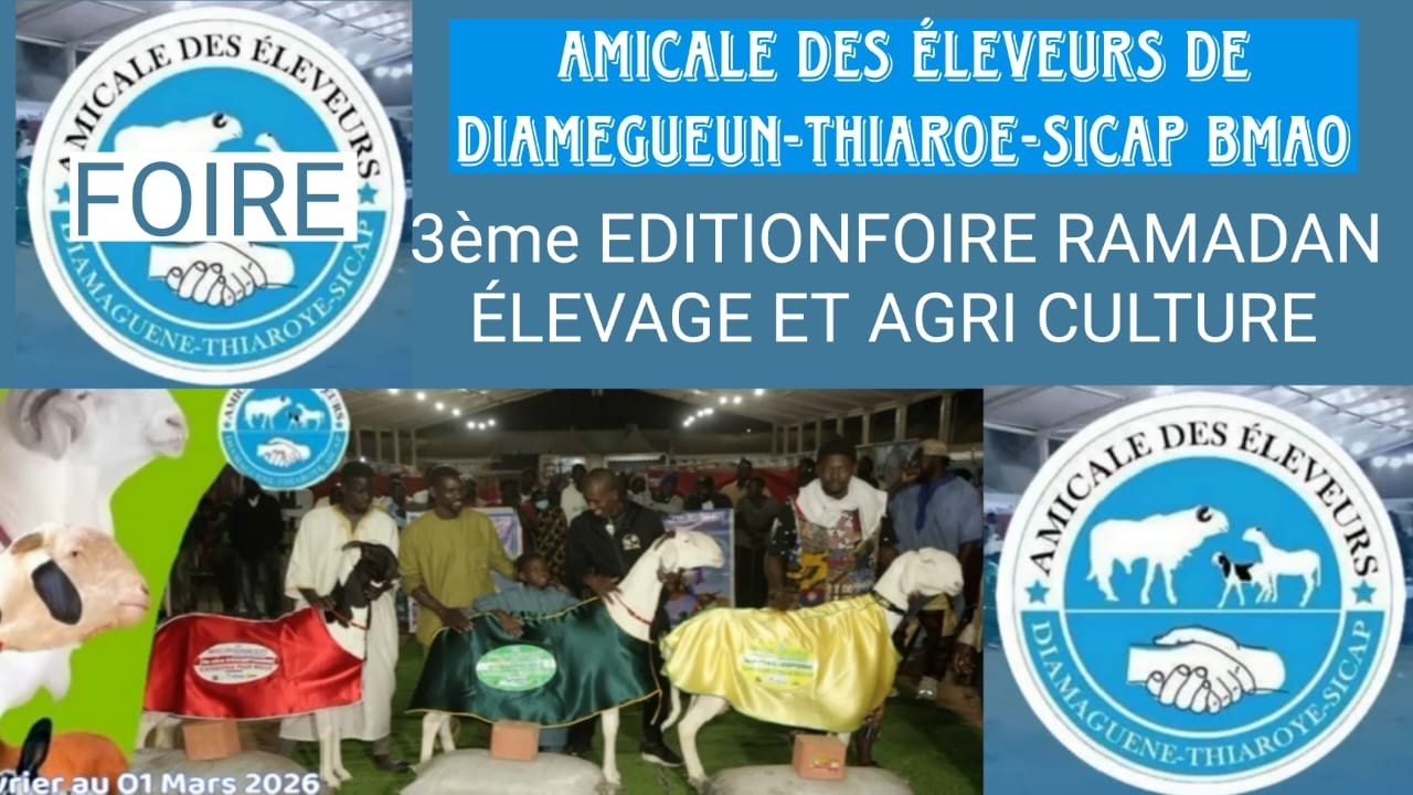 DIRECT : FOIRE DE L'AMICAL DES ELEVEURS DE DIAMEGUENE-THIAROYE-SICAP MBAO 2026