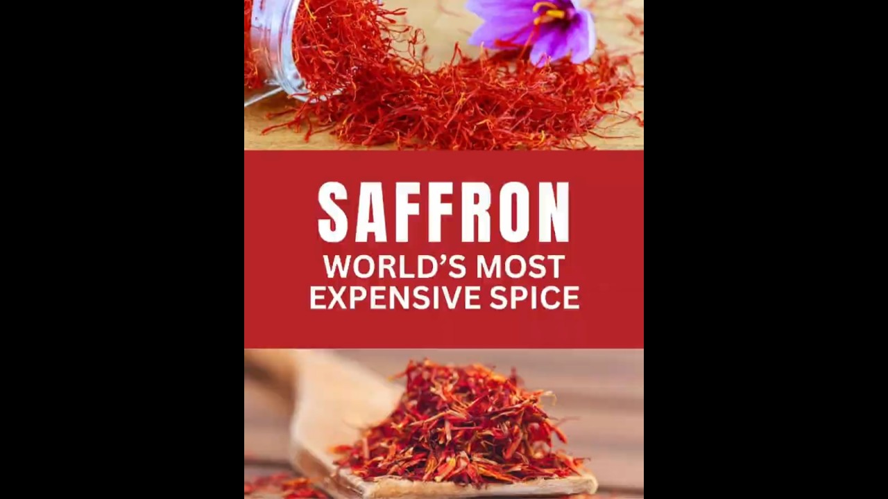 Saffron: The World’s Most Expensive Spice