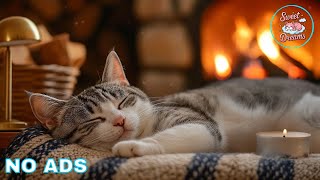 Healing Music For Cats ✨ Cat Calming Music 🎧 Soft Piano Tones For Cat Stress Relief Sleep screenshot 4